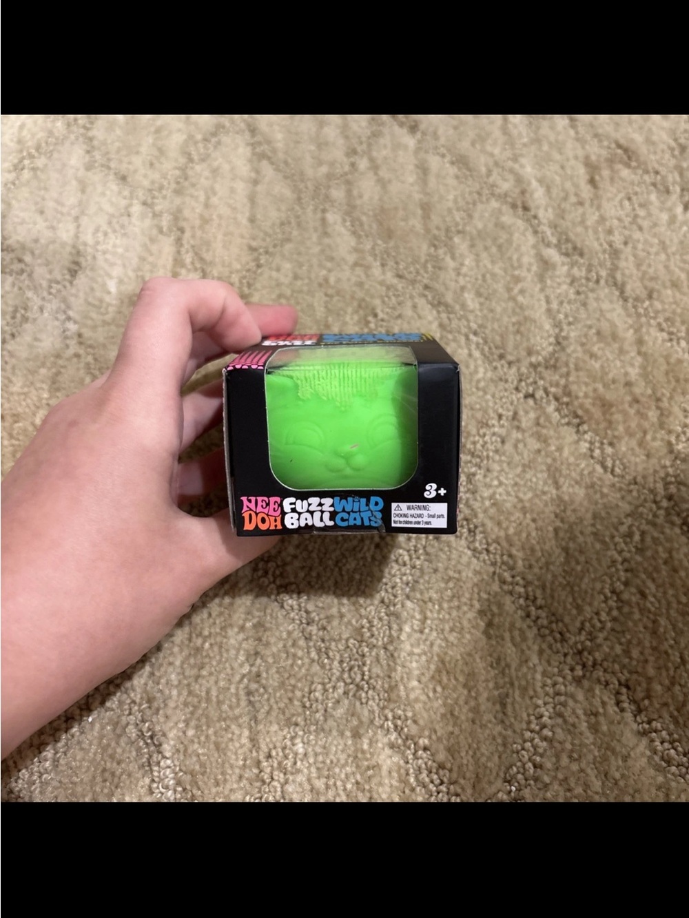 Schylling NeeDoh Wild Cats Fuzz Ball Green 26089HY Squishy New Sealed Authentic